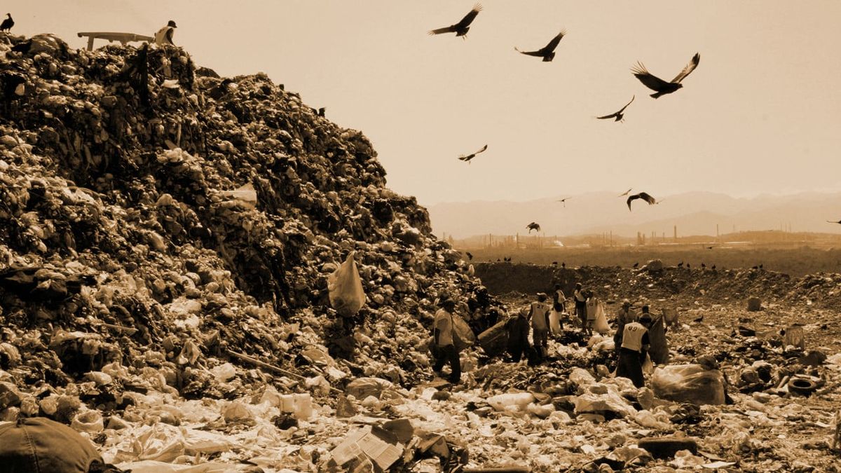 ‎Waste Land (2010) directed by Lucy Walker • Reviews, film + cast
